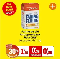 Coccinelle Supermarché Farine de blé anti grumeaux francine offre