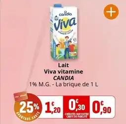 Coccinelle Supermarché Lait viva vitamine candia offre