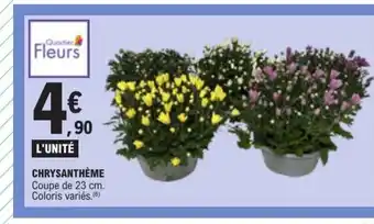 E.Leclerc Chrysanthème offre