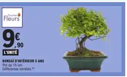 E.Leclerc Bonsaï d'intérieur 5 ans offre