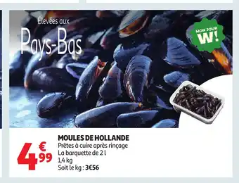 Auchan Moules de hollande offre