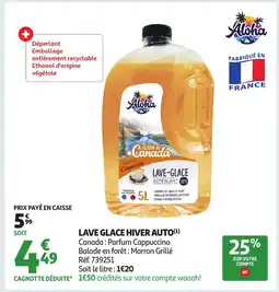 Auchan Lave glace hiver auto offre