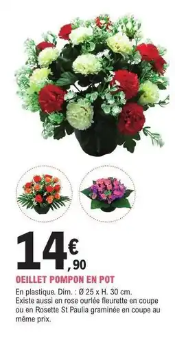 E.Leclerc OEILLET POMPON EN POT offre