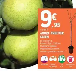 E.Leclerc ARBRE FRUITIER SCION offre