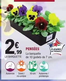 E.Leclerc Pensées offre