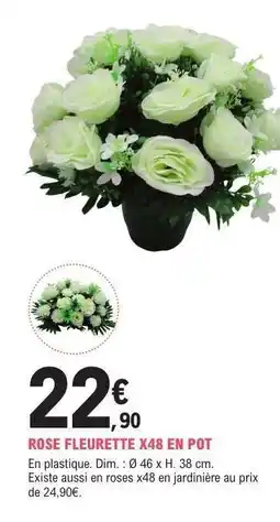 E.Leclerc ROSE FLEURETTE X48 EN POT offre