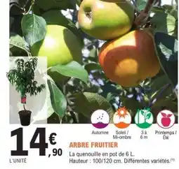 E.Leclerc Arbre fruitier offre
