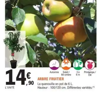 E.Leclerc Arbre fruitier offre