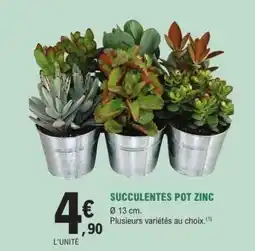 E.Leclerc SUCCULENTES POT ZINC offre