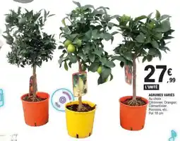 E.Leclerc AGRUMES VARIÉS offre