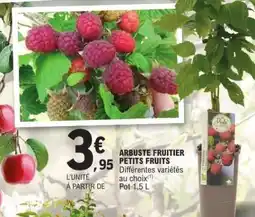 E.Leclerc ARBUSTE FRUITIER PETITS FRUITS offre