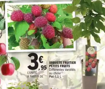 E.Leclerc ARBUSTE FRUITIER PETITS FRUITS offre