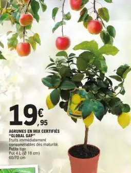 E.Leclerc AGRUMES EN MIX CERTIFIÉS 'GLOBAL GAP' offre