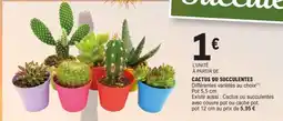 E.Leclerc CACTUS OU SUCCULENTES offre