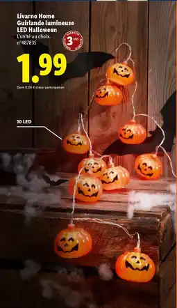 Lidl Livarno Home Guirlande lumineuse LED Halloween offre