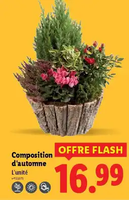 Lidl Composition d'automne offre