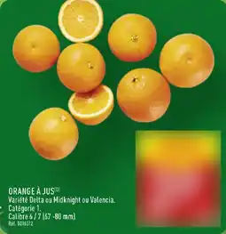 ALDI Orange à jus offre