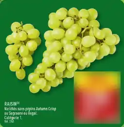 ALDI Raisin offre