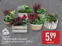 ALDI Gardenline composition de toussaint offre