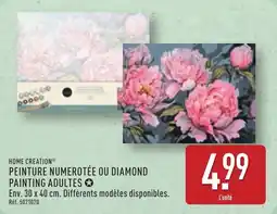 ALDI Home creation peinture numerotée ou diamond painting adultes offre