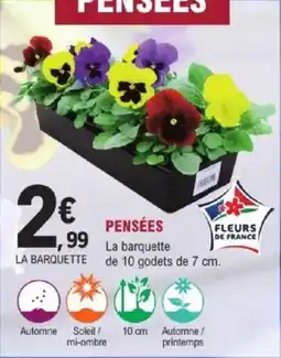 E.Leclerc Brico Pensées offre