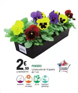 E.Leclerc Brico Pensées offre