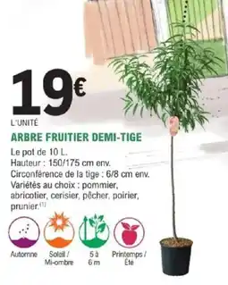 E.Leclerc Brico Arbre fruitier demi-tige offre