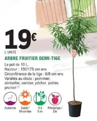 E.Leclerc Brico Arbre fruitier demi-tige offre