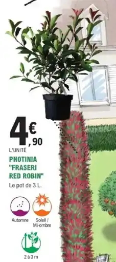 E.Leclerc Brico Photinia fraseri red robin offre