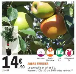 E.Leclerc Brico Arbre fruitier offre