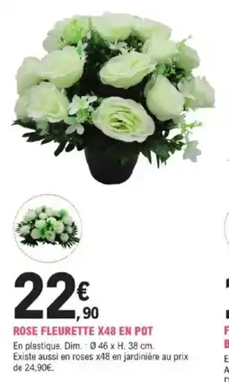 E.Leclerc Brico Rose fleurette x48 en pot offre