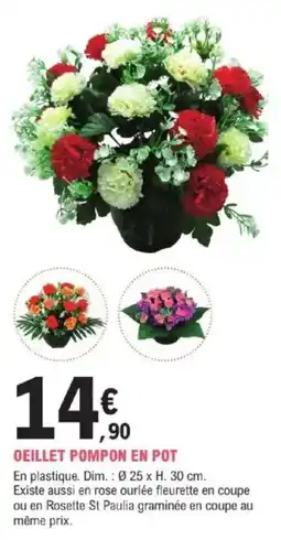 E.Leclerc Brico Oeillet pompon en pot offre