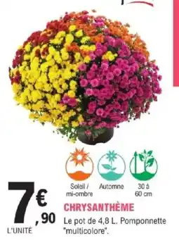 E.Leclerc Brico Chrysanthème offre