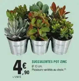 E.Leclerc Brico Succulentes pot zinc offre