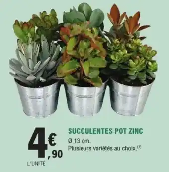 E.Leclerc Brico Succulentes pot zinc offre