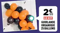 Centrakor Guirlande organique 25 ballons offre