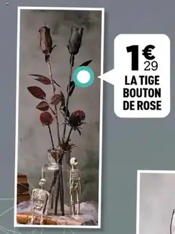 Centrakor La tige bouton de rose offre
