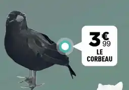 Centrakor Le corbeau offre