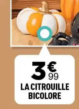 Centrakor La citrouille bicolore offre