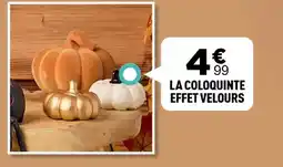 Centrakor La coloquinte effet velours offre