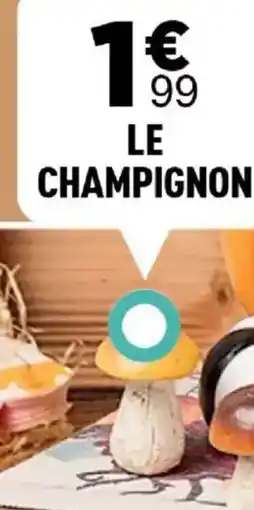 Centrakor Le champignon offre