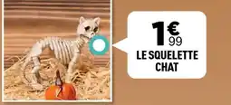 Centrakor Le squelette chat offre
