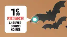 Centrakor Le set de 2 chauves- souris noires offre