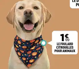 Centrakor Le foulard citrouilles pour animaux offre