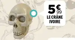 Centrakor Le crâne ivoire offre