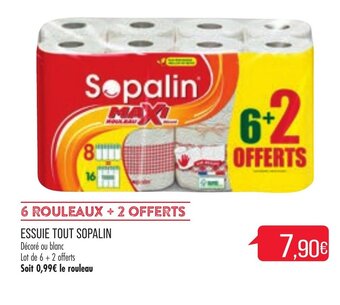 Match Essuie tout sopalin offre