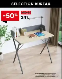 BUT Bureau risae offre