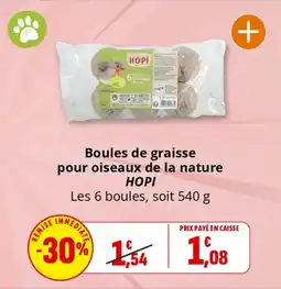 Coccinelle Supermarché HOPI Boules de graisse pour oiseaux de la nature offre