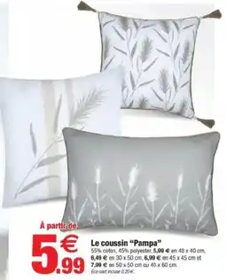 Bazarland Le coussin Pampa offre