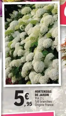 E.Leclerc Jardi Hortensias de jardin offre